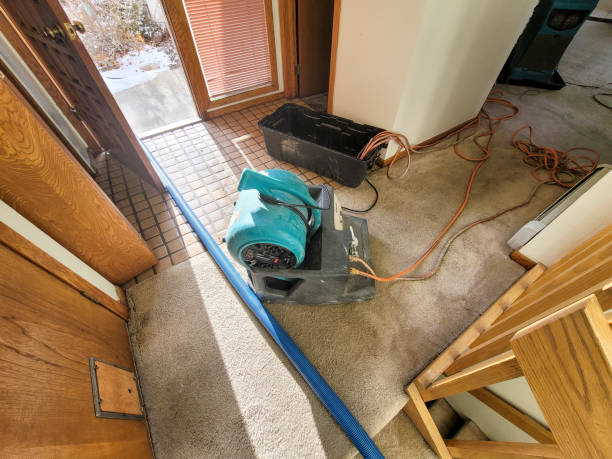 Best Flooded house restoration  in Spring Park, MN