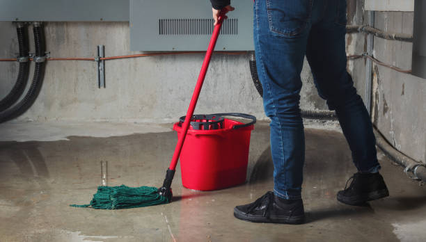 Best Emergency water damage restoration  in Spring Park, MN