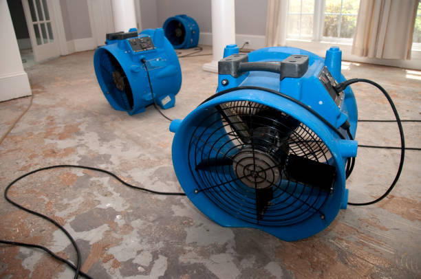 Best Basement water damage restoration  in Spring Park, MN