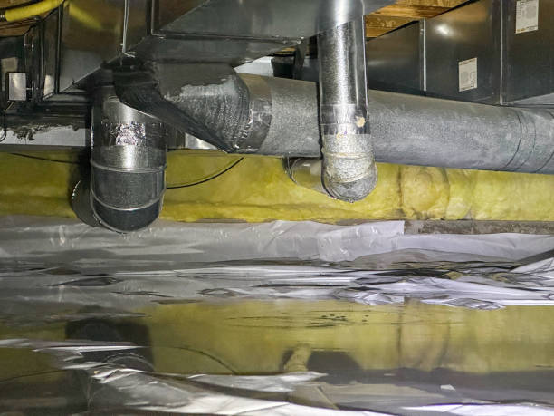 Best Carpet water damage restoration  in Spring Park, MN