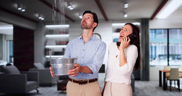Best Flood restoration services  in Spring Park, MN